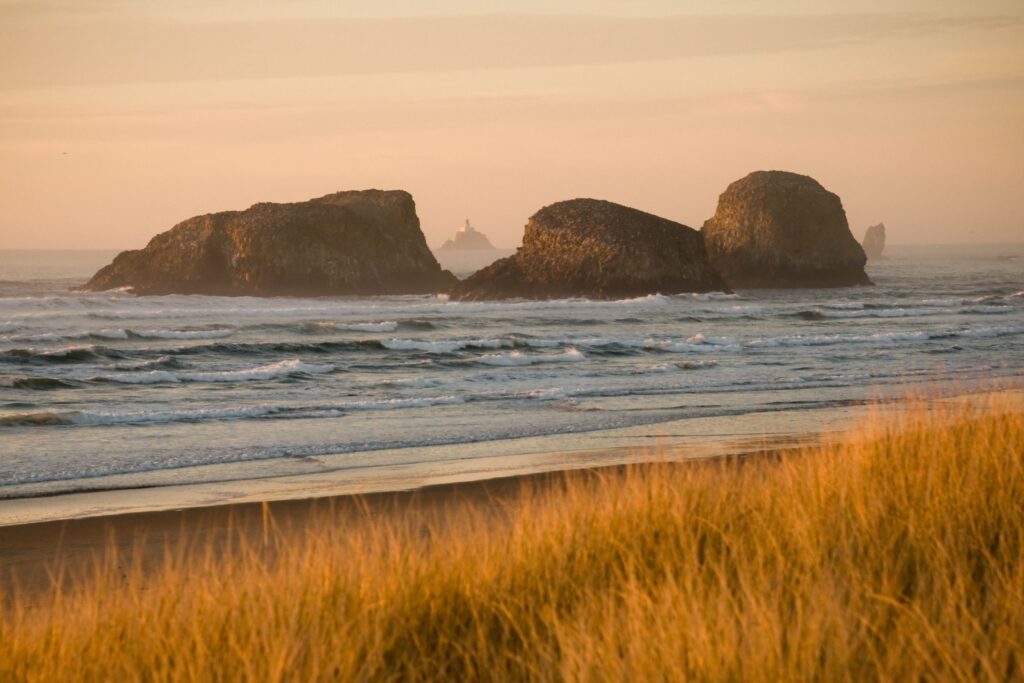 chapman's point