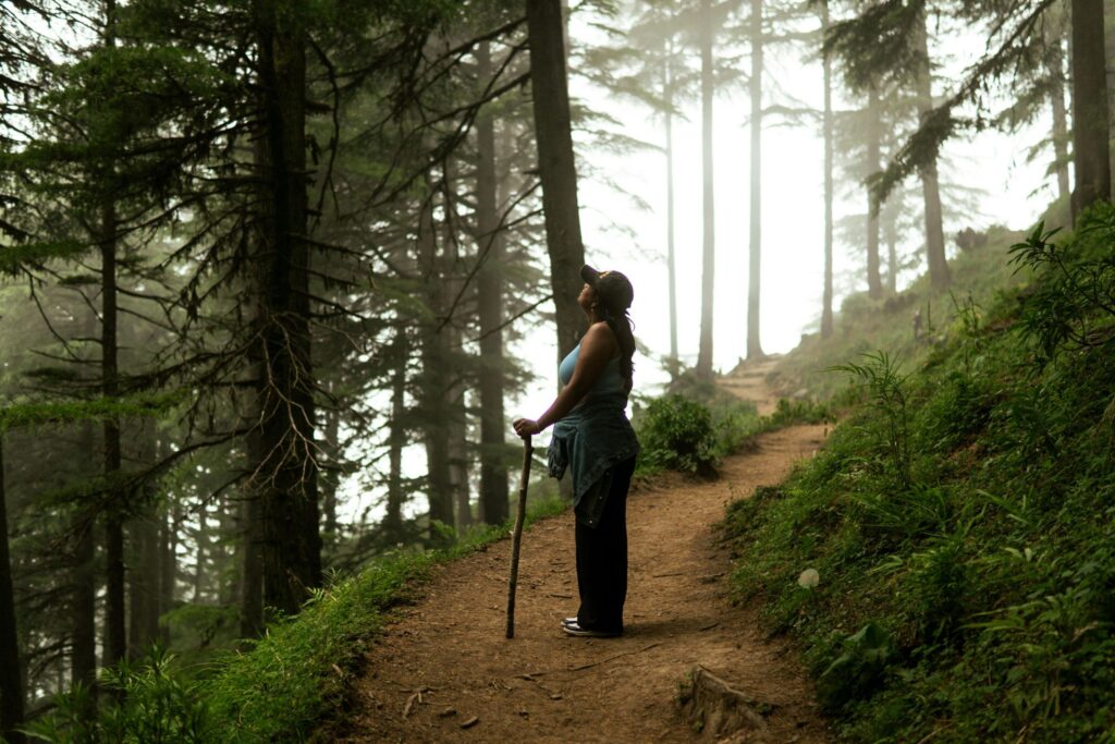 Take a hike at Arthur's Seat State Park